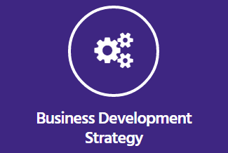 Business Development Strategy