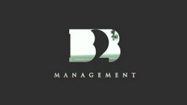 B2B Management Consultancy