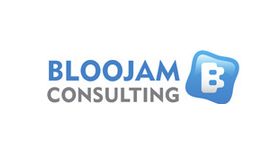Bloojam Consulting