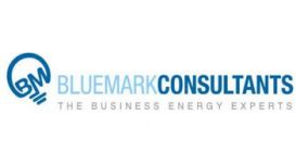 Bluemark Consultants