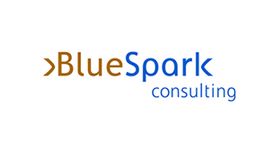 Blue Spark Consulting