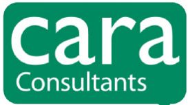 Cara Consultants