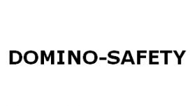Domino Safety Management Domino Safety Management
