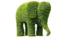 Elephant Tree Consulting Elephant Tree Consulting