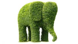 Elephant Tree Consulting