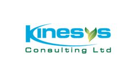 Kinesys Consulting