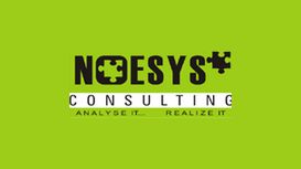 Noesys Consulting Noesys Consulting