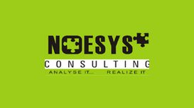 Noesys Consulting