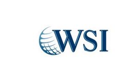 WSI-eMarketing